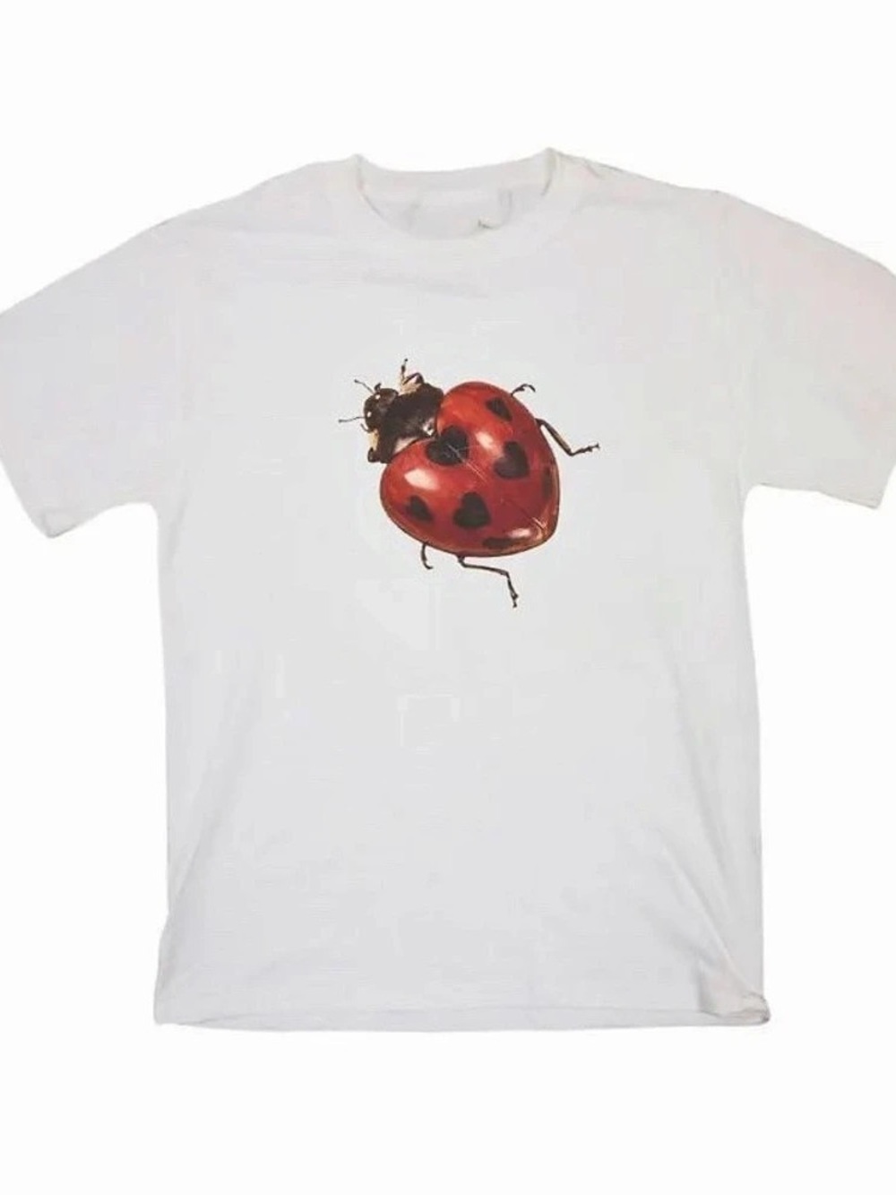 Ladybug Graphic Short Sleeve Tee